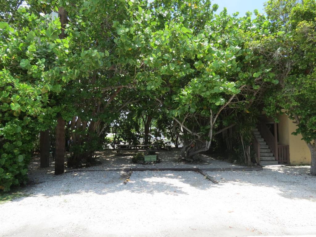 Ed & Ellen'S Lodgings Key Largo Μοτέλ Εξωτερικό φωτογραφία