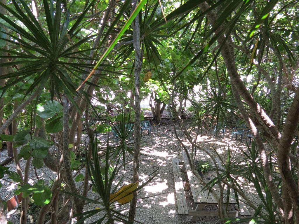 Ed & Ellen'S Lodgings Key Largo Μοτέλ Εξωτερικό φωτογραφία
