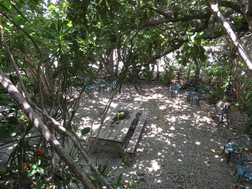 Ed & Ellen'S Lodgings Key Largo Μοτέλ Δωμάτιο φωτογραφία