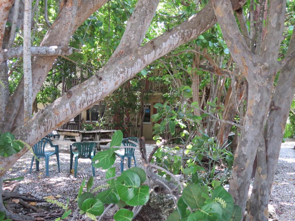 Ed & Ellen'S Lodgings Key Largo Μοτέλ Εξωτερικό φωτογραφία