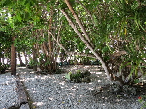 Ed & Ellen'S Lodgings Key Largo Μοτέλ Εξωτερικό φωτογραφία