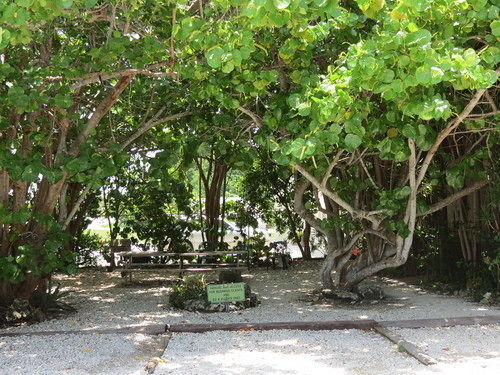 Ed & Ellen'S Lodgings Key Largo Μοτέλ Εξωτερικό φωτογραφία